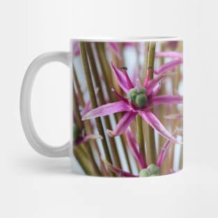 Allium  &#39;Spider&#39;  Ornamental onion Mug